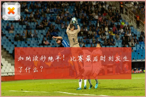 加纳读秒绝平!比赛最后时刻发生了什么?