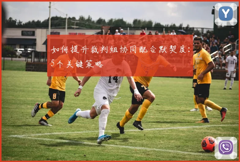 如何提升裁判组协同配合默契度:5个关键策略
